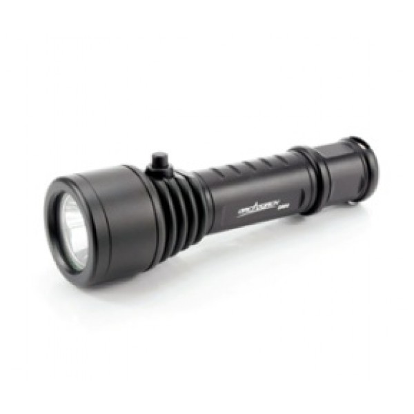 D500 ORCA TORCH 