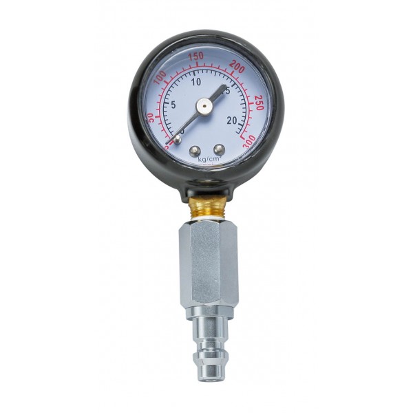 Intermediate pressure gauge