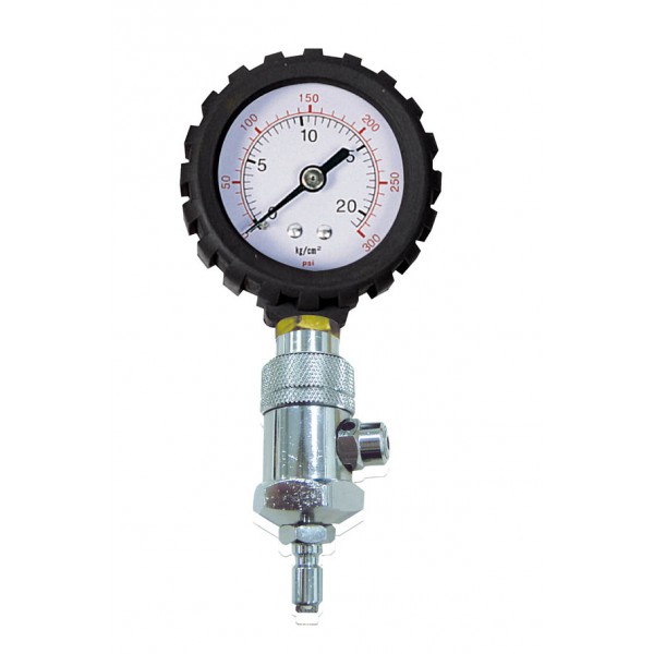 Intermediate pressure gauge