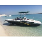 Four Wins 220 Horizon Speed Boat