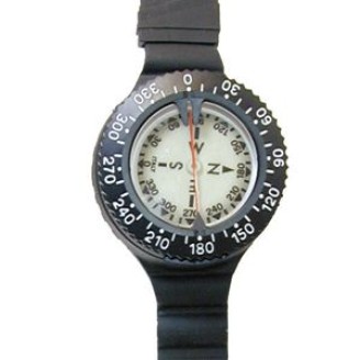 Compass