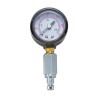 Intermediate pressure gauge